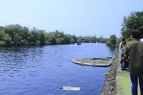 Not a single rupee from Centre for Mithi River clean-up: RTI