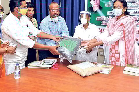 Farmers hand over samples of millets cultivated by them to State Planning Commission Vice Chairman.