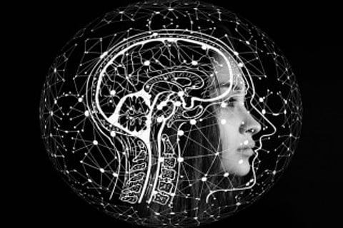 Brain cell that can help track distance discovered