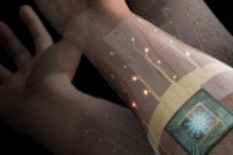 Image Courtesy : IANS