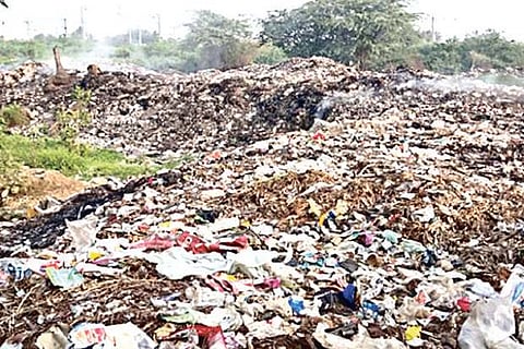 Garbage piled along banks of irrigation tanks
