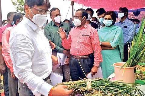 Central team in Pudukkottai on Tuesday.
