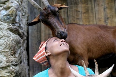 Ethiopian migrant who became symbol of integration in Italy killed on her goat farm