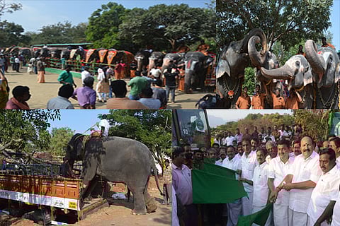 Public throng to bid farewell to the elephants after the 48-day annual retreat concluded