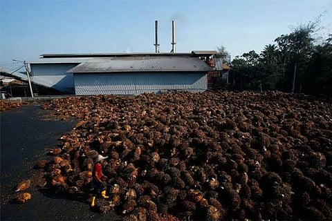 File photo: A Malaysian palm oil factory (Image courtesy: Reuters)