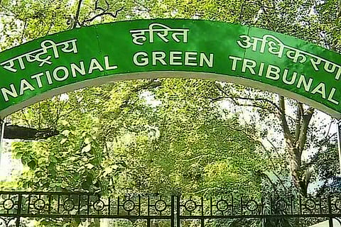NGT appoints committee to act on Vandalur lake encroachment