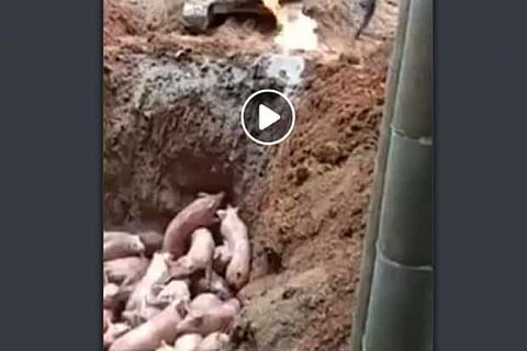 Screengrab from YouTube