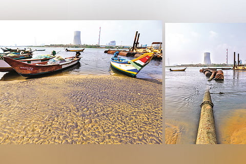 The effluents flowing into the river are causing skin ailments to the locals, while the fish they net ?stinks?