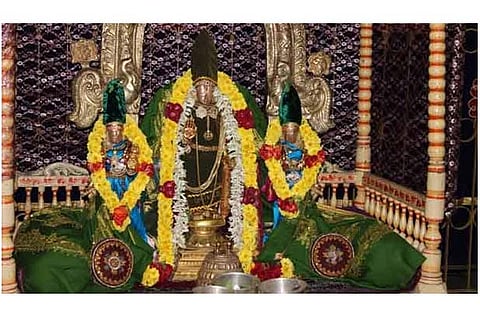 'Thai Poosam' festival celebrated with religious fervor across TN