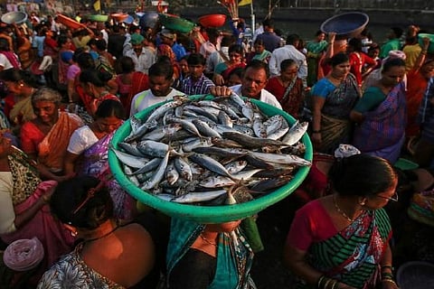 Minister promises help to seafood sector