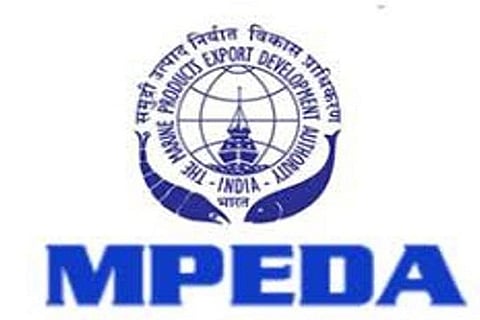 COVID-19 may not impact seafood exports to China: MPEDA