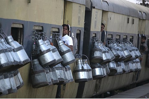 Modi offers to open up dairy, poultry markets for Trump