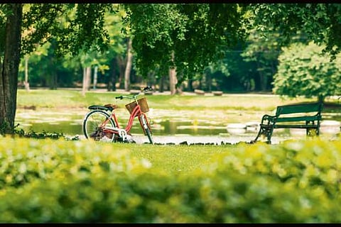 Living near green spaces may delay menopause
