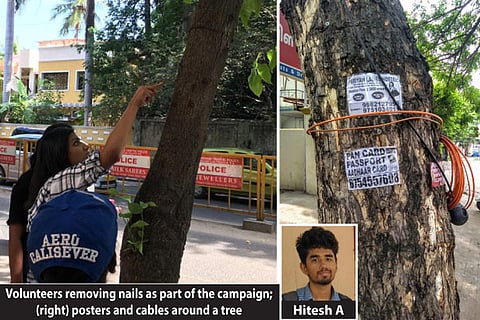 Abused trees nursed by city volunteers get new life