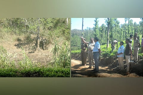 The mother jumbo stands guard to its dead calf in Gudalur and Forest Department staff monitoring the elephant