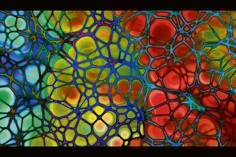 Fat around arteries may be good for health