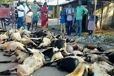 Representative image