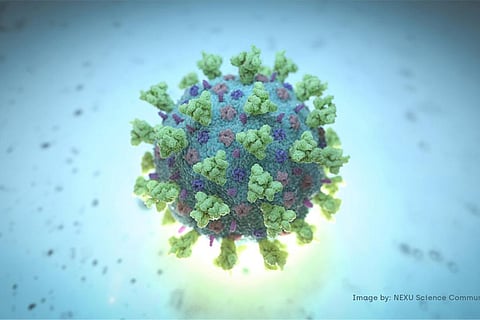 A computer image by Nexu Science Communication together with Trinity College, Dublin (Reuters)