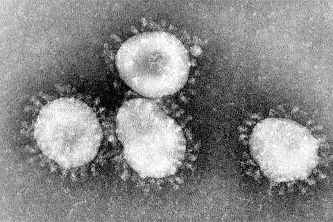 Italy authorities urge calm as coronavirus cases stabilise