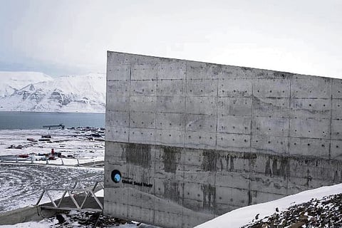 Arctic 'doomsday vault' stocks up on more food seeds