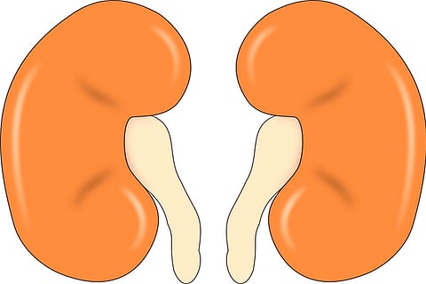 India may face kidney diseases due to air pollution