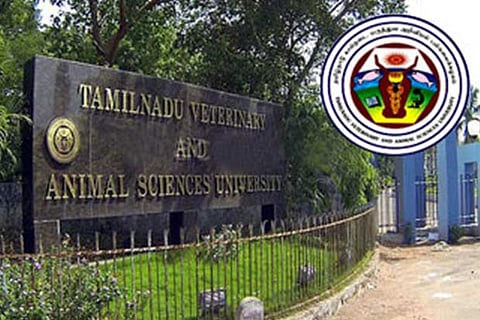 Tamil Nadu Animal Husbandry services