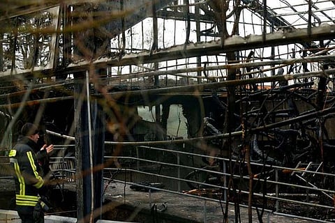 Photo Courtesy: Reuters