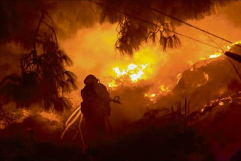 Picture Credit: IANS twitter profile