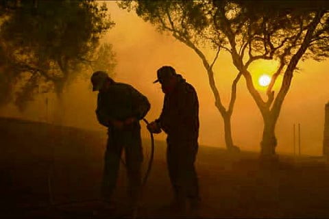 Picture Credit: IANS twitter profile