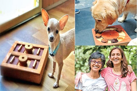 There are six different board games that can be played by dogs belonging to any breed