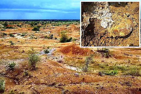 Traces of Perambalur being under sea long ago; (inset) fossils of marine species found in the district