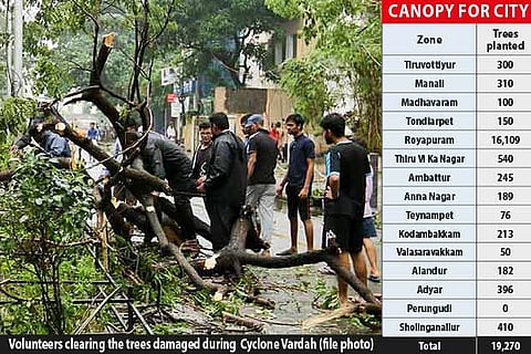City Corpn enlists corporates, residents to rebuild green cover