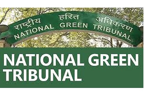 NGT seeks info on waste management, air pollution