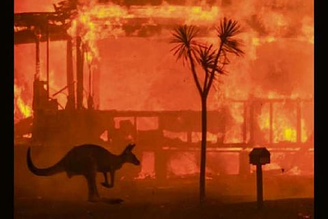 International aid, donations pour in for Aus bushfire crisis