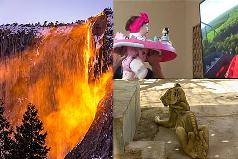 Trending in TN: Fiery California waterfall, Father-daughter’s ‘virtual’ roller coaster ride, Malnourished lions in a Sudan zoo