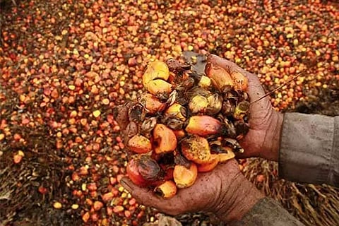 Nepal seeks early lifting of ban on export of refined palm oil to India