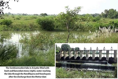 Chola era Sembianmadevi lake in Ariyalur cries for attention