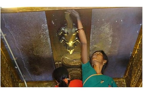 Touch these gold-silver plated lizards to lift your lizard based doshas