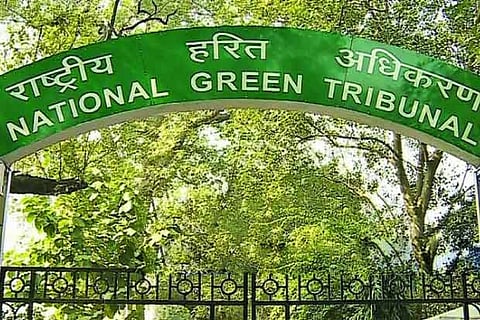 File report on Kumari CRZ violation, NGT directs TNPCB