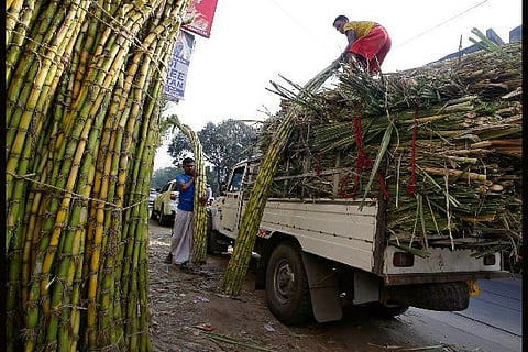 Vendors load sugarcane onto a vehicle at a wholesale market in Kolkata