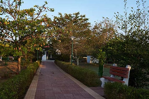 Representative image