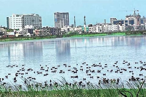 Concrete structures encroaching Pallikaranai marshlands, an important water source for Chennai