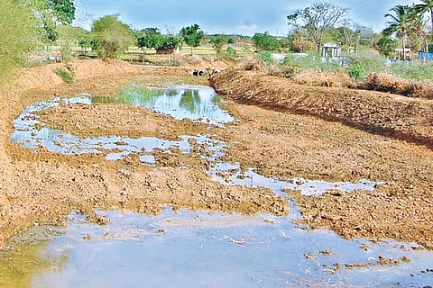 Poor water flow at an irrigation canal at Reddiapatti in Thanjavur