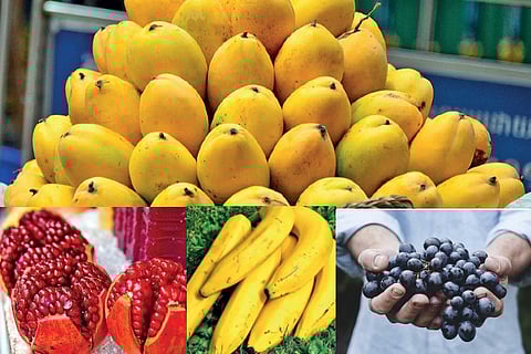 Mythical tales of fruits