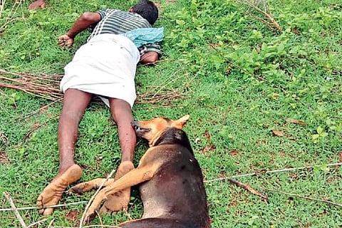 Farmer Karuppiah and his pet dog in Pudukkottai on Wednesday