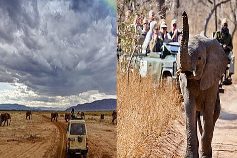 Conventional safaris are important for earning foreign currencies, especially in eastern and Africa