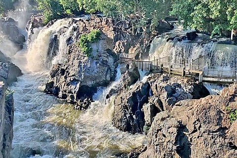 Heavy flow at Hogenakkal on Tuesday