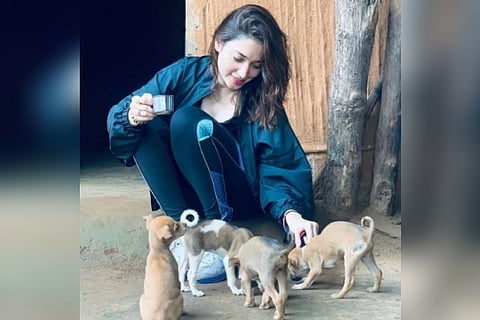 Tamannaah Bhatia's 'pawfect' puppy love