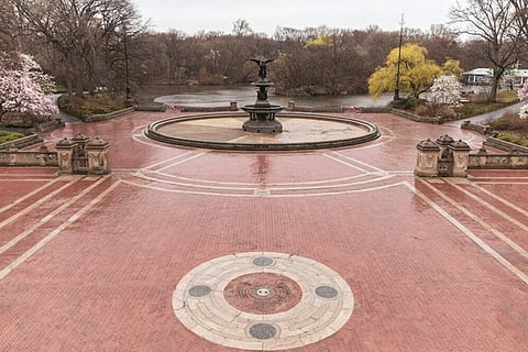 In New York?s Central Park, vibrations on Sunday nights during the peak lockdown period