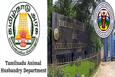 Veterinary college and research institute to be set up in Theni